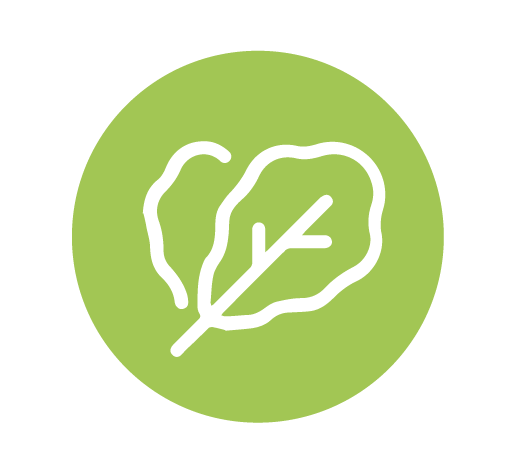 Environment Icon