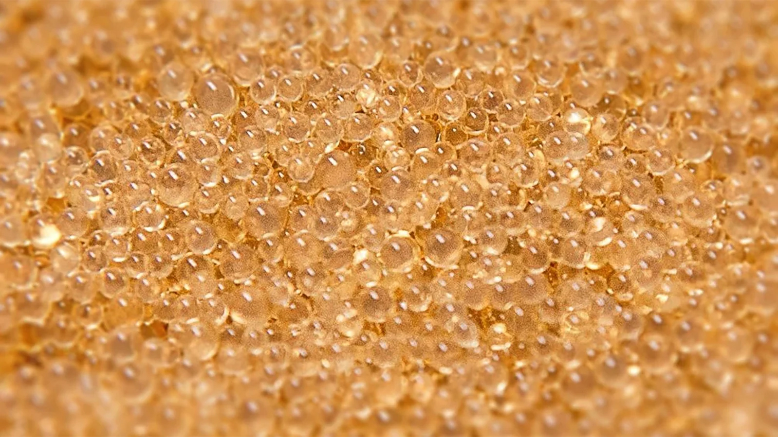 resin_beads